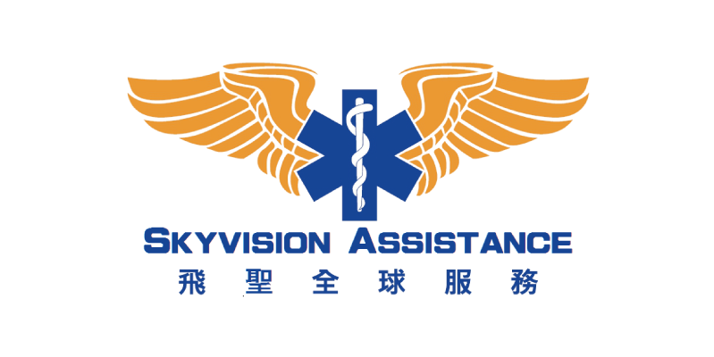 Skyvision Assistance